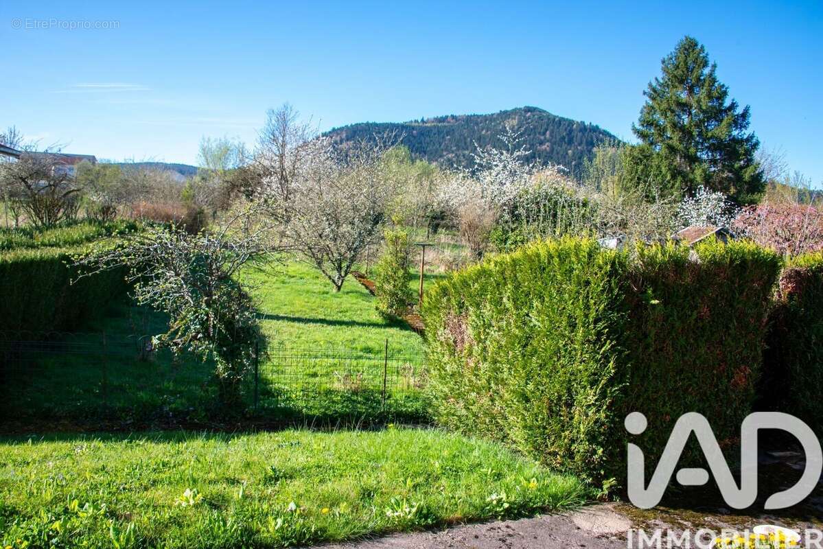 Photo 2 - Maison à RAON-L'ETAPE