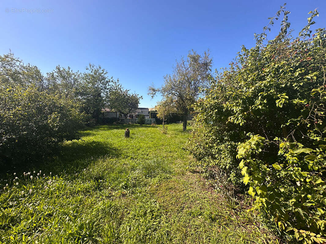 Maison à WITTENHEIM