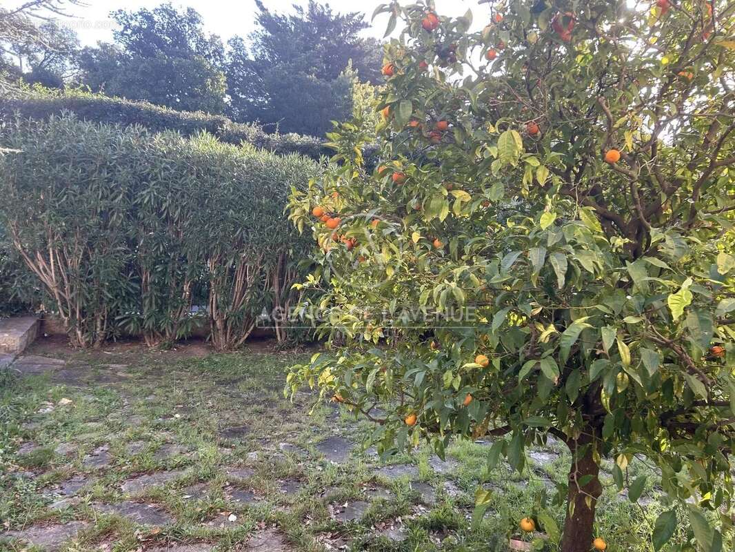 Maison à LA SEYNE-SUR-MER