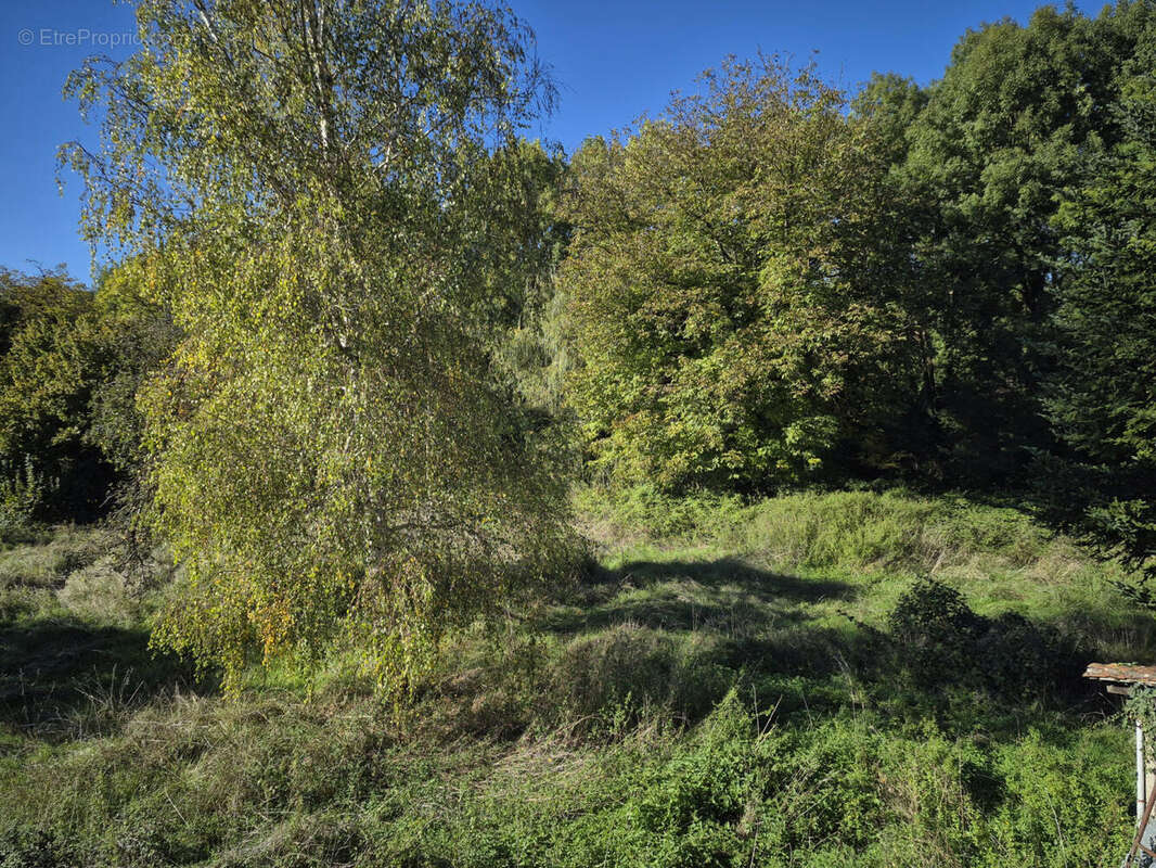 20251007_162409 - Maison à SAINT-MARTIAL-DE-VALETTE