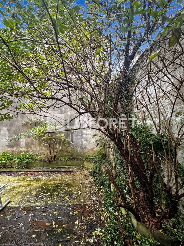 Bourgeoise 4 chambres, espace extérieur - photo 17