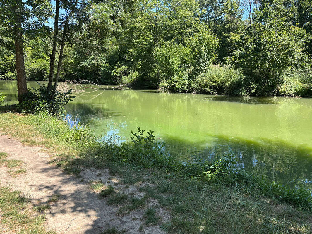 Maison à POCE-SUR-CISSE