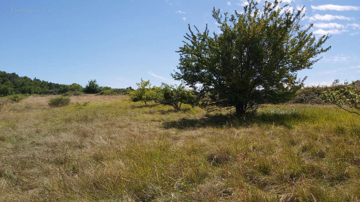 20200707_155407 - Terrain à LUSSAS-ET-NONTRONNEAU