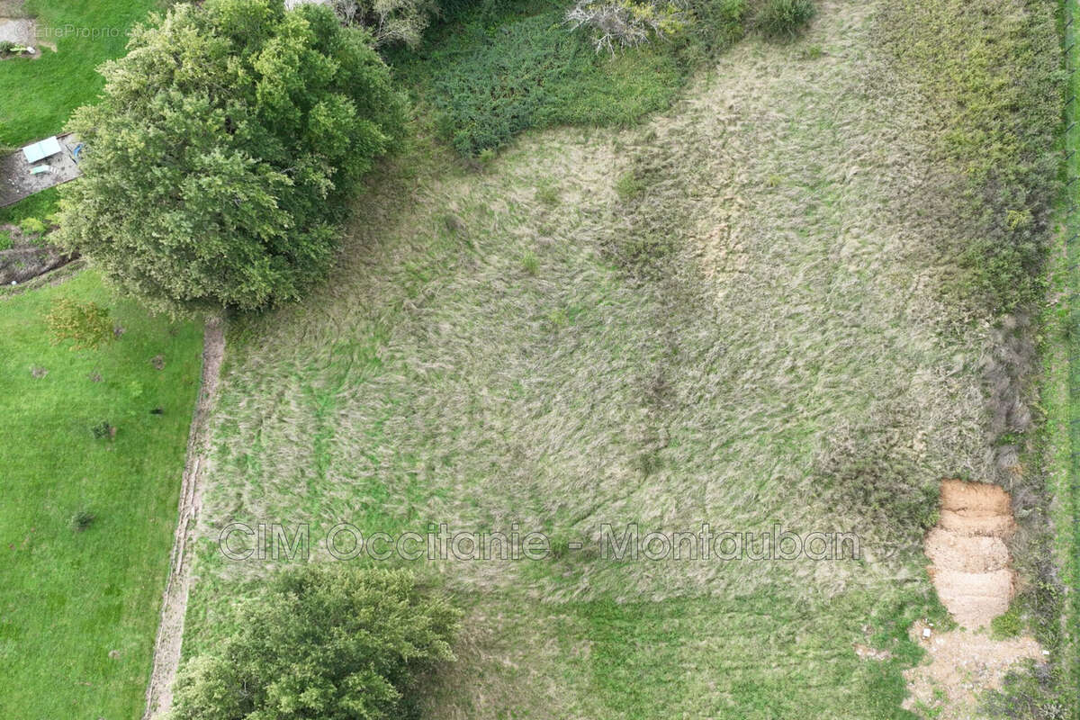 Terrain à LA SALVETAT-BELMONTET