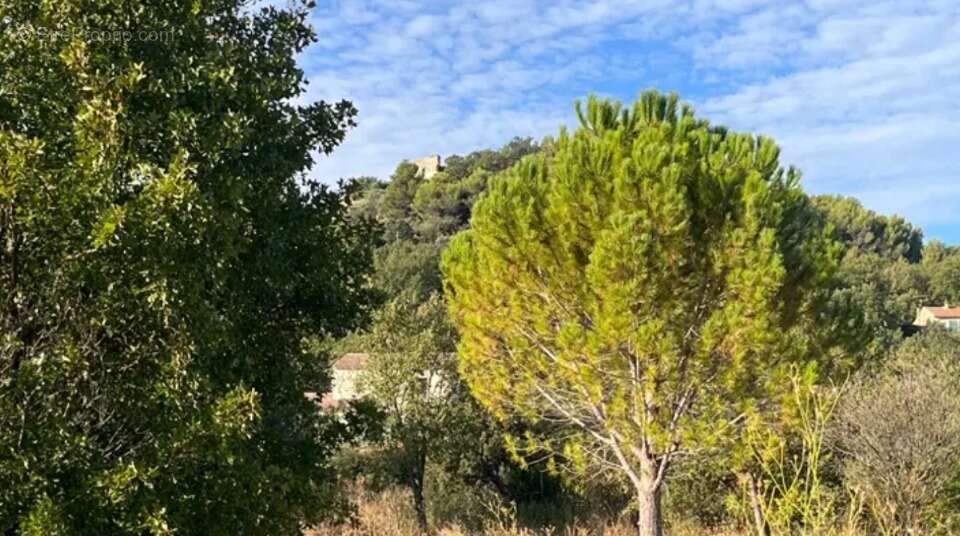 Terrain 300 m² à Rognes  - photo 2