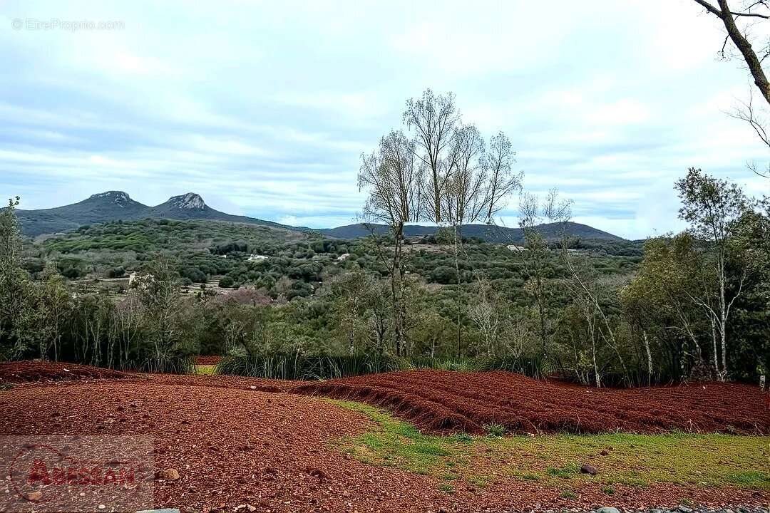 Terrain à MONOBLET