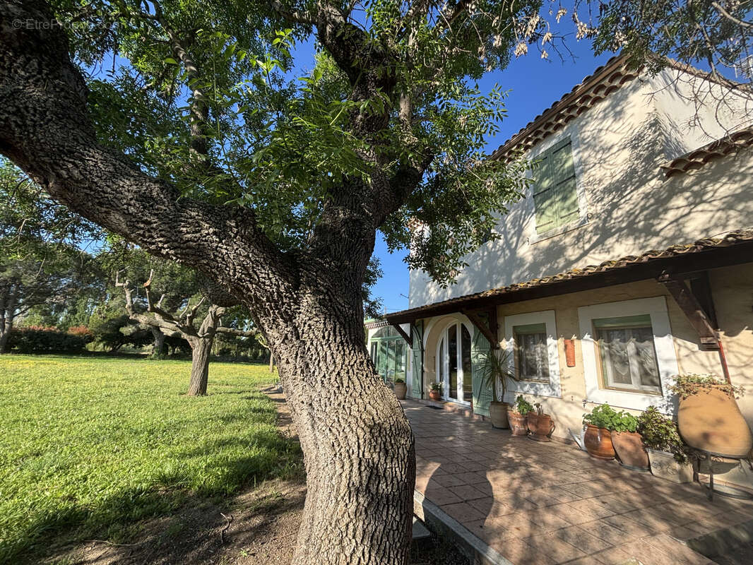 Superbe maison T5 de 162 m2 sur une parcelle de 3 hectares - photo 13