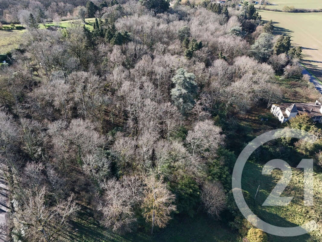 Maison à MONTAIGUT-SUR-SAVE