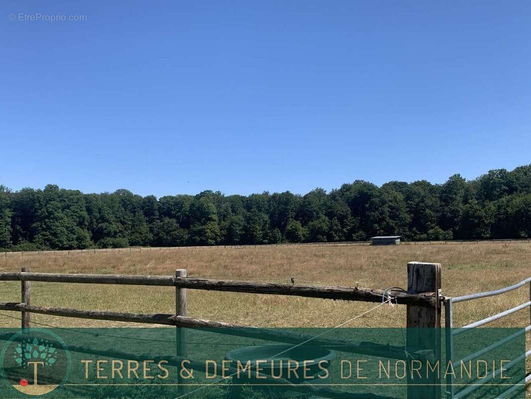 En NORMANDIE, département de l'EURE, à proximité de BEAUMESNIL, une propriété équestre avec 12 ha 40 a - photo 10