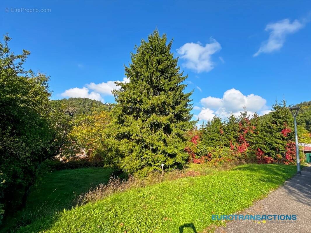 Terrain à ROTHBACH