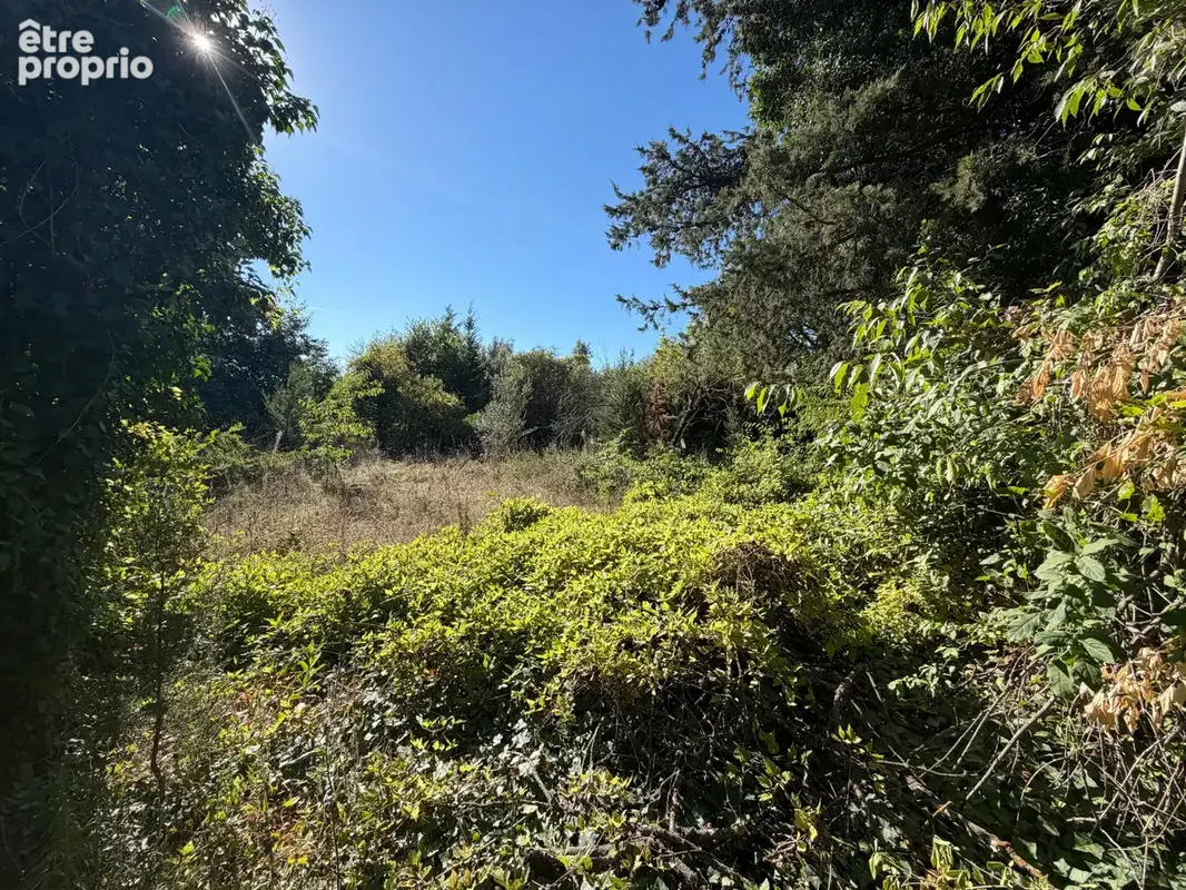 Photo Terrain à Laudun-L'ardoise au prix de 254 000€