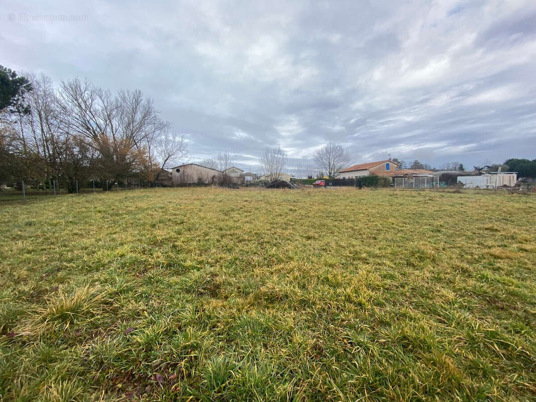 Terrain à PELLEGRUE