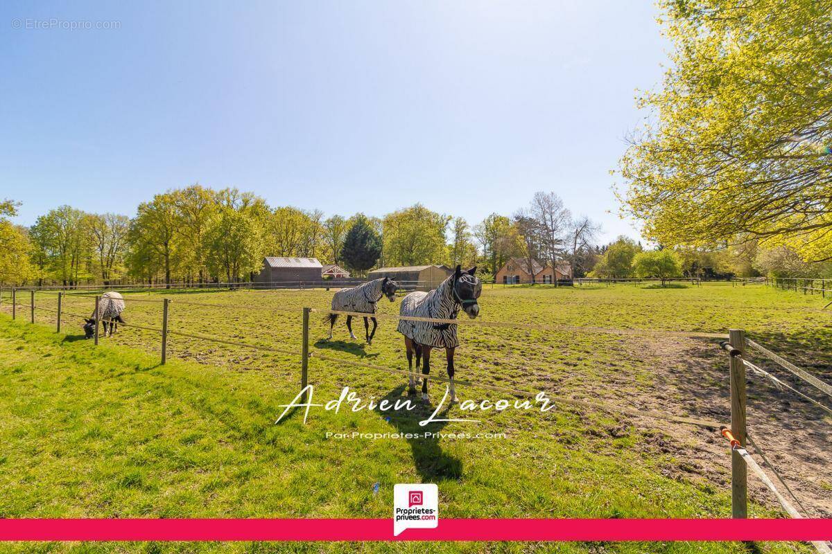 Maison à SAINT-JULIEN-SUR-CHER