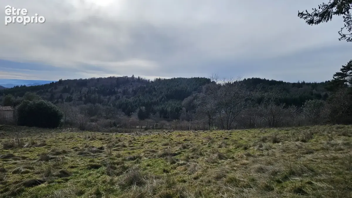 Cherier - magnifique terrain constructible d'environ 7000 m2 vue imprenable clos et arbore - photo 2