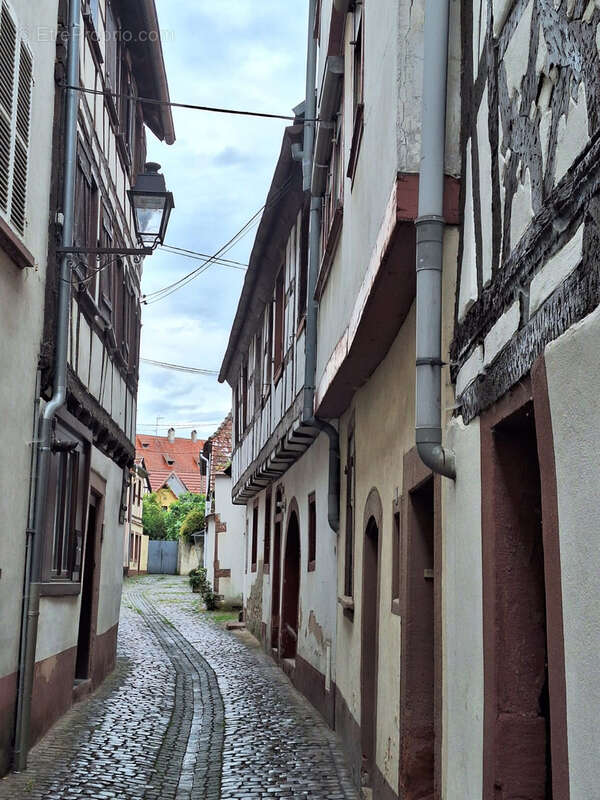 Maison à WISSEMBOURG