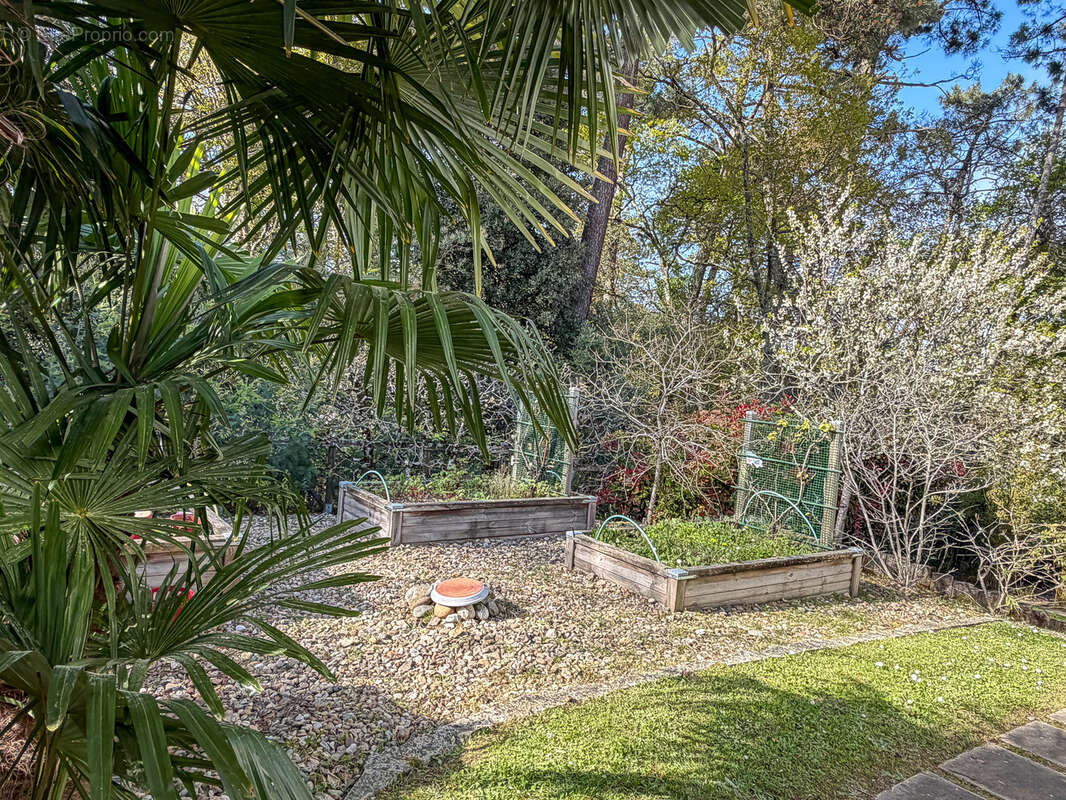 Maison à SAINT-PALAIS-SUR-MER