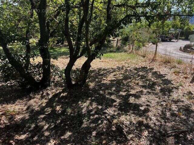 Terrain à OLMET-ET-VILLECUN