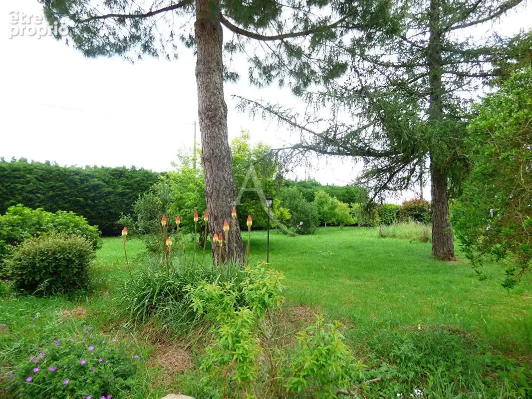 Maison Jargeau - photo 11