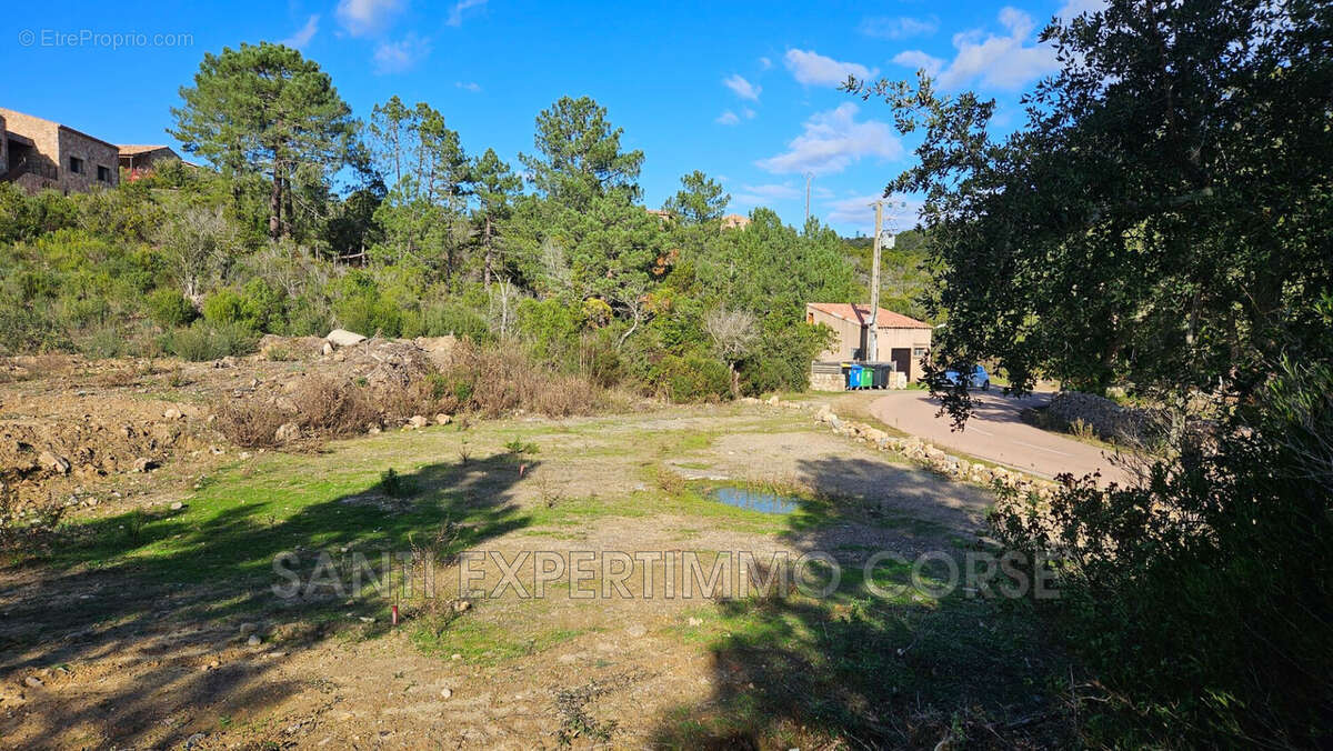 Terrain à SARI-SOLENZARA