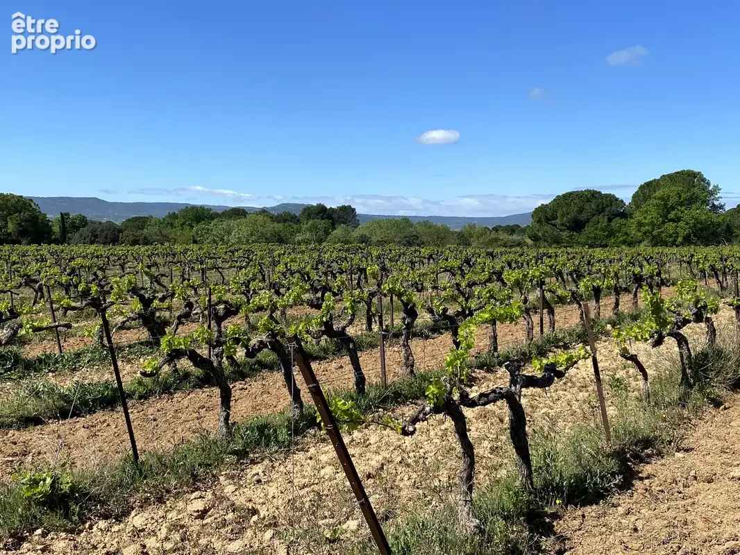 Sud luberon   domaine viticole de 39 ha avec bastide de caractère - photo 17