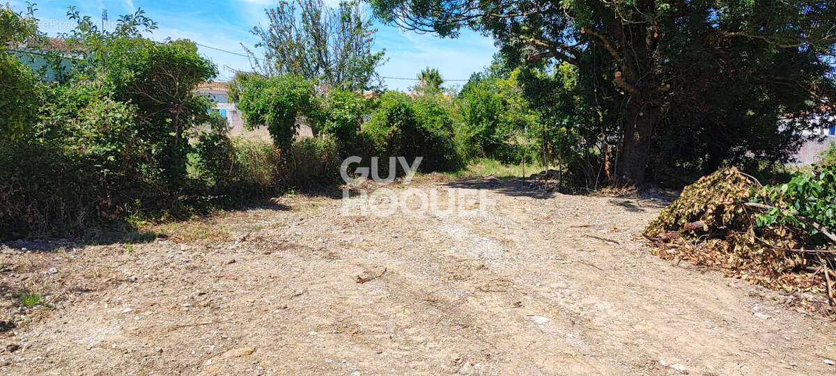 Terrain à SAINT-GEORGES-D&#039;OLERON