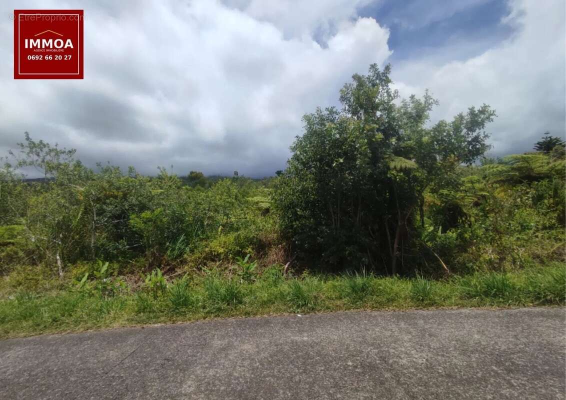 Terrain à SAINT-BENOIT