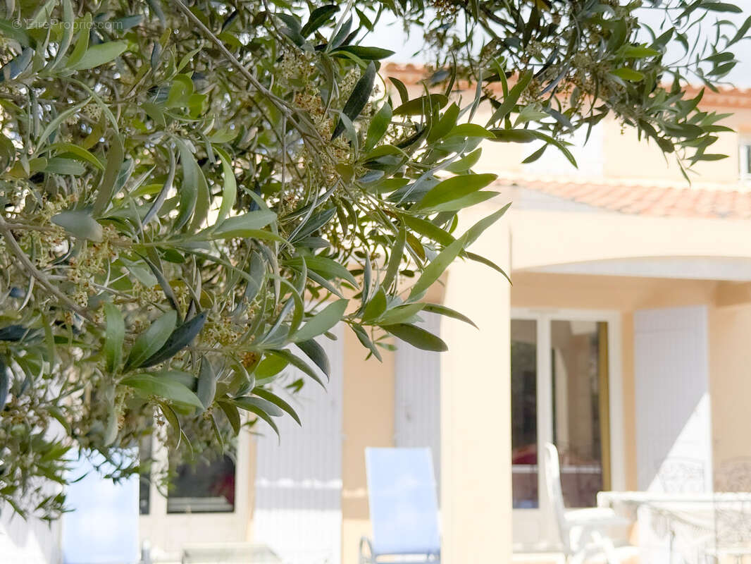 Villa de charme f6 avec piscine au coeur de la camargue - photo 26