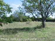 Terrain à INGRANNES
