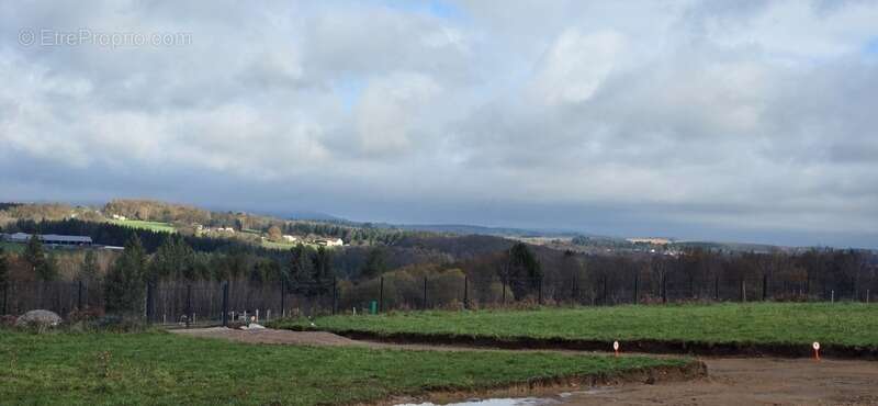 Terrain à LE PALAIS-SUR-VIENNE