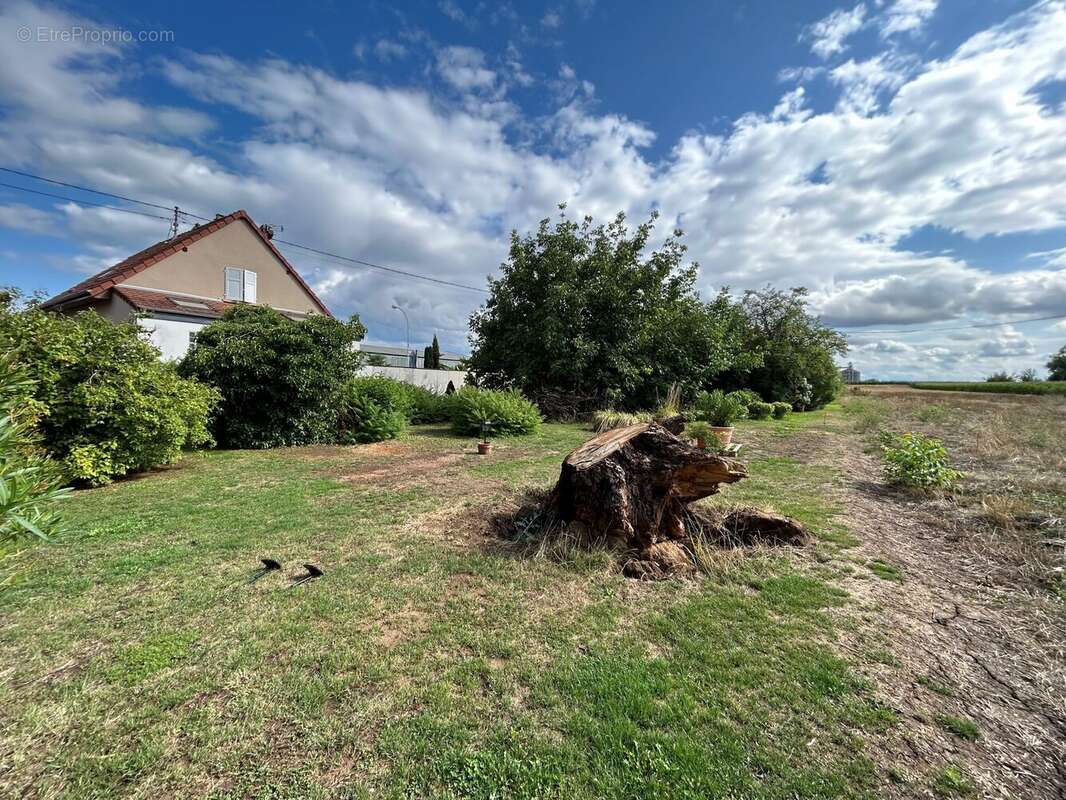 Terrain à QUATZENHEIM