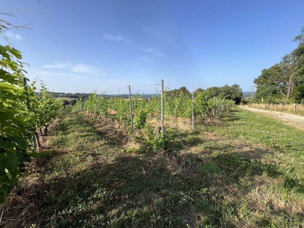 Maison à PUY-D'ARNAC