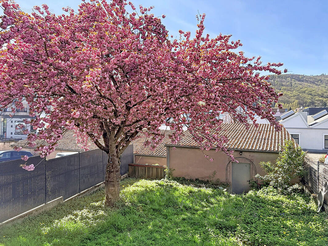 Appartement à SAVERNE