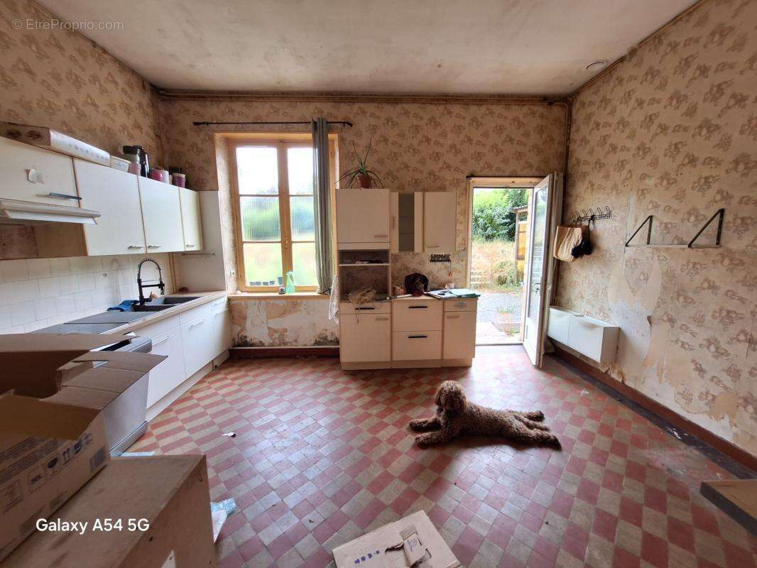 Immeuble 350 m² - photo 5