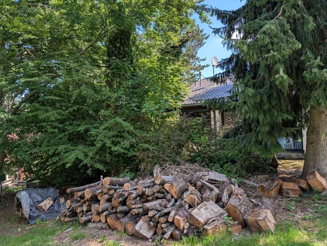 Maison à LE HOHWALD