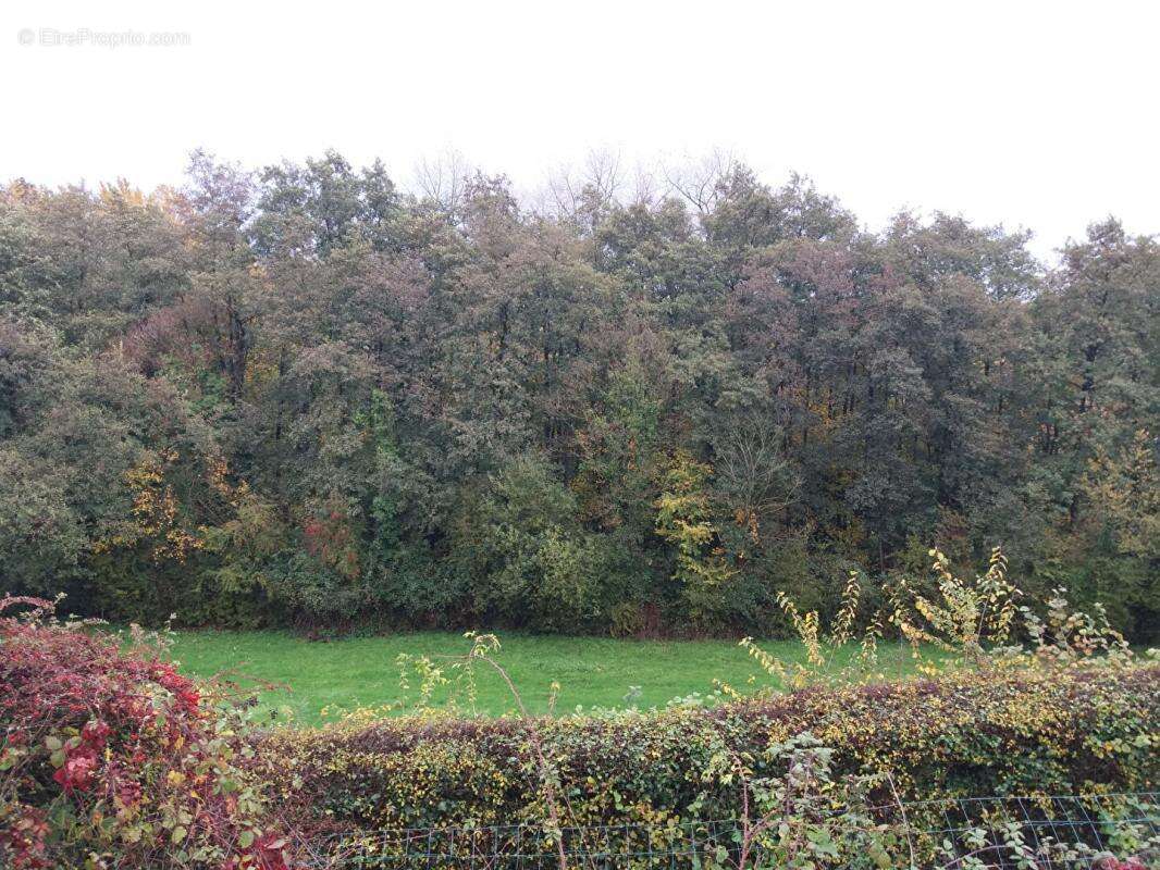 Maison à WAVRANS-SUR-L&#039;AA