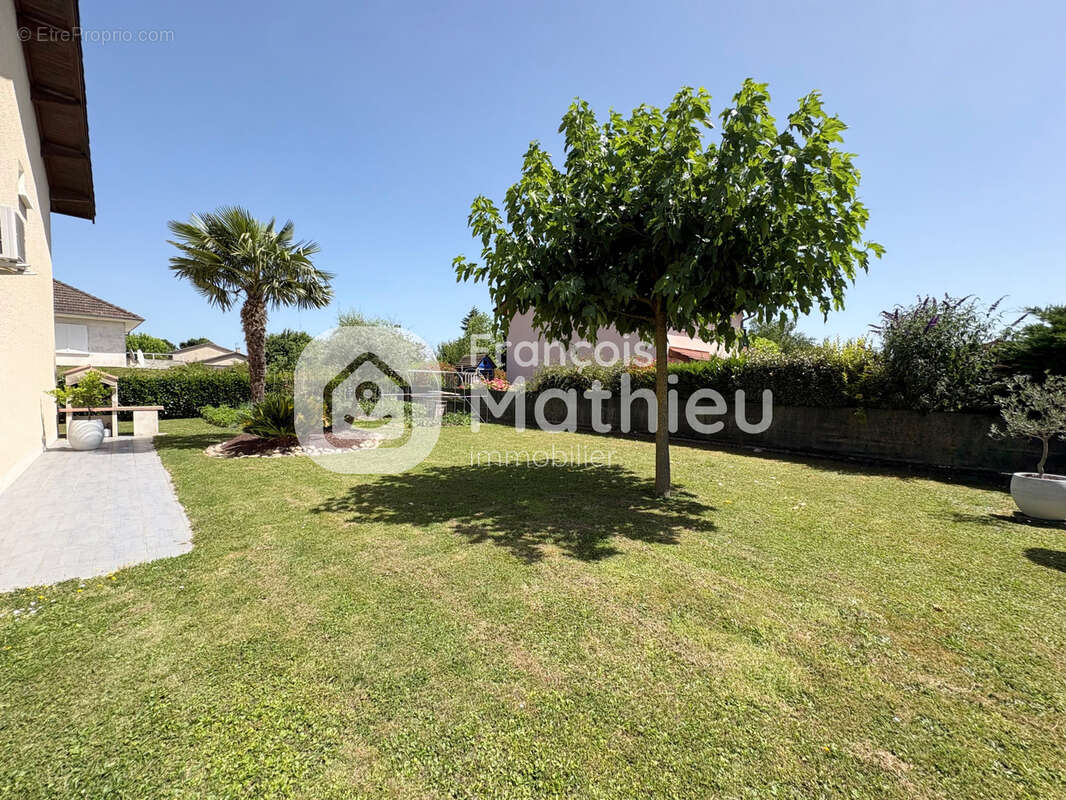 Villars les Dombes : maison beaujolaise 117m2 hab - 5 pièces - garage - 792m2 de terrain avec piscine semi-ent - photo 2
