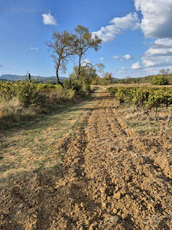 Terrain à MONTFORT-SUR-ARGENS