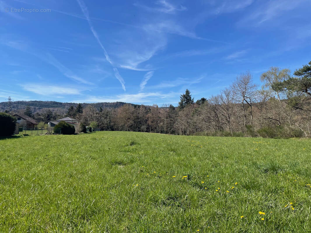 Terrain à SAINT-ETIENNE-LES-REMIREMONT