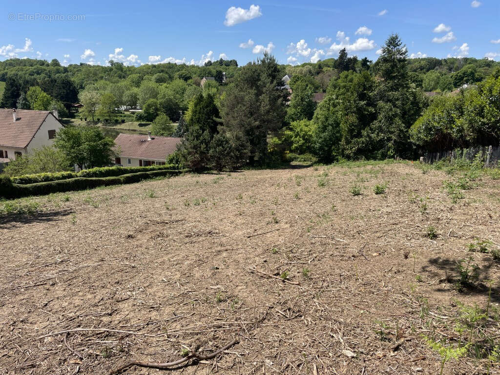 Terrain à SAINT-SORNIN-LAVOLPS