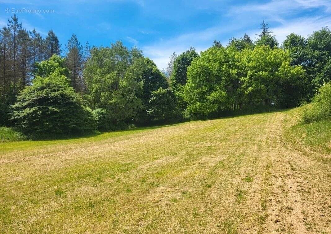Terrain à LIGUEUX
