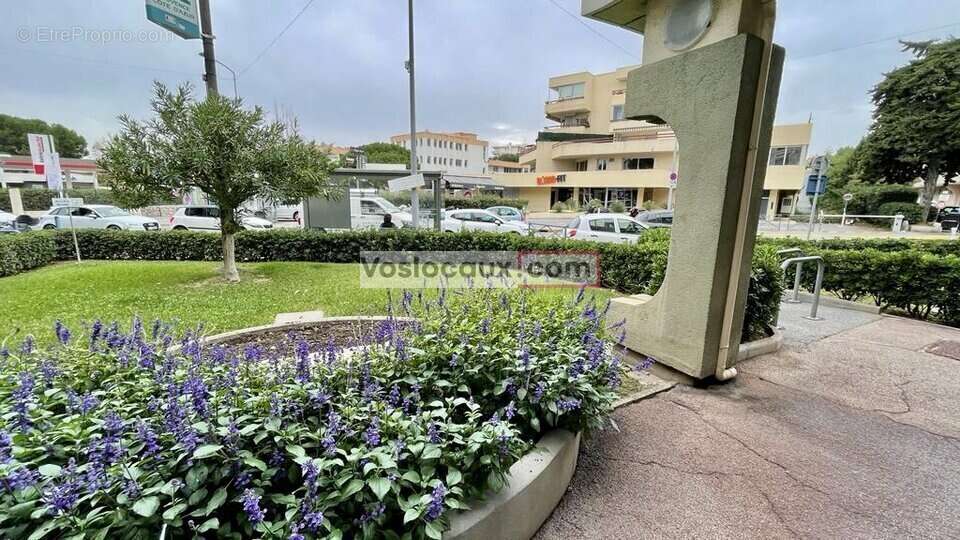 Commerce à CAGNES-SUR-MER