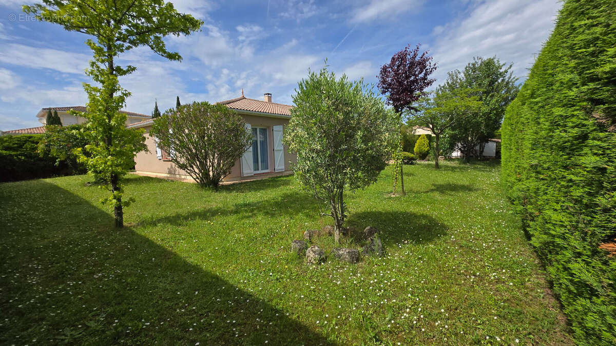 Maison à COLOMIERS