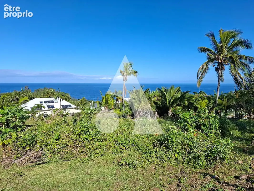 Terrain à PETITE-ILE