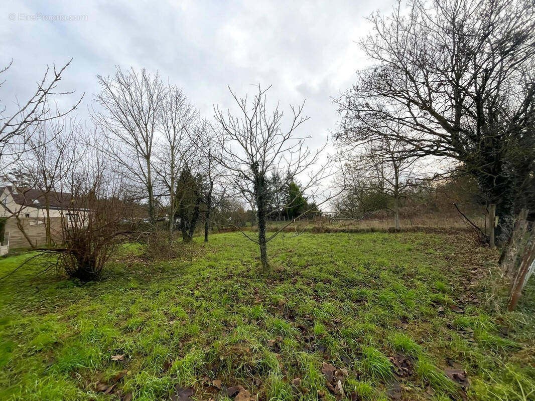 Terrain à COURMELLES