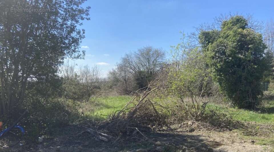 Terrain à LA BOISSIERE-ECOLE