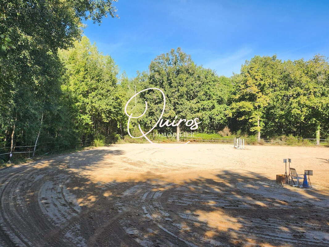 Buvette - Maison à LAMOTTE-BEUVRON