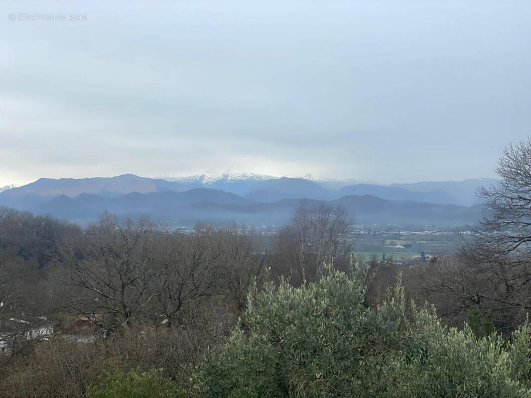 IMG_5434 - Maison à OLORON-SAINTE-MARIE