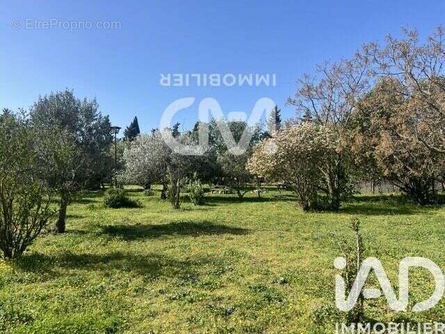 Photo 3 - Maison à MARGUERITTES