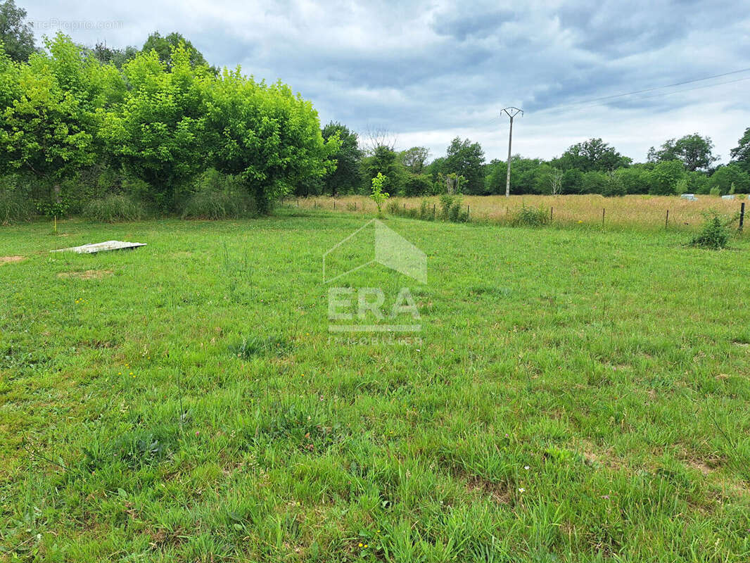 Terrain 1015m² à montpon-ménestérol - photo 2