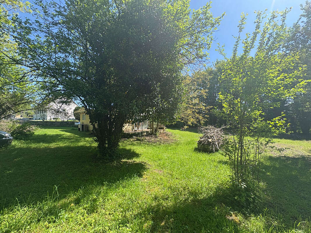 Terrain à PANCY-COURTECON